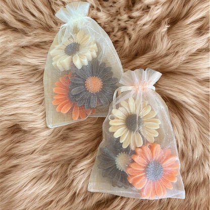 Glycerin Soaps