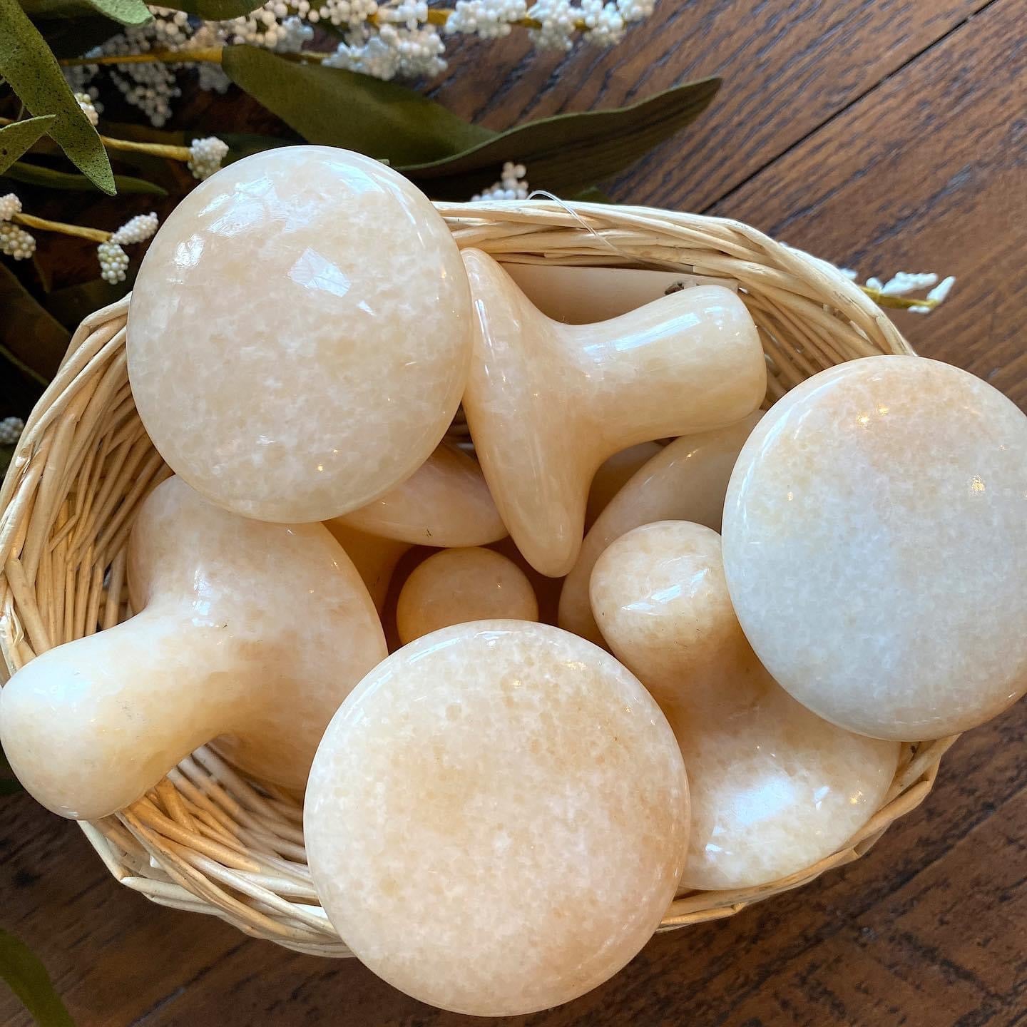 Mushroom Massage Stones