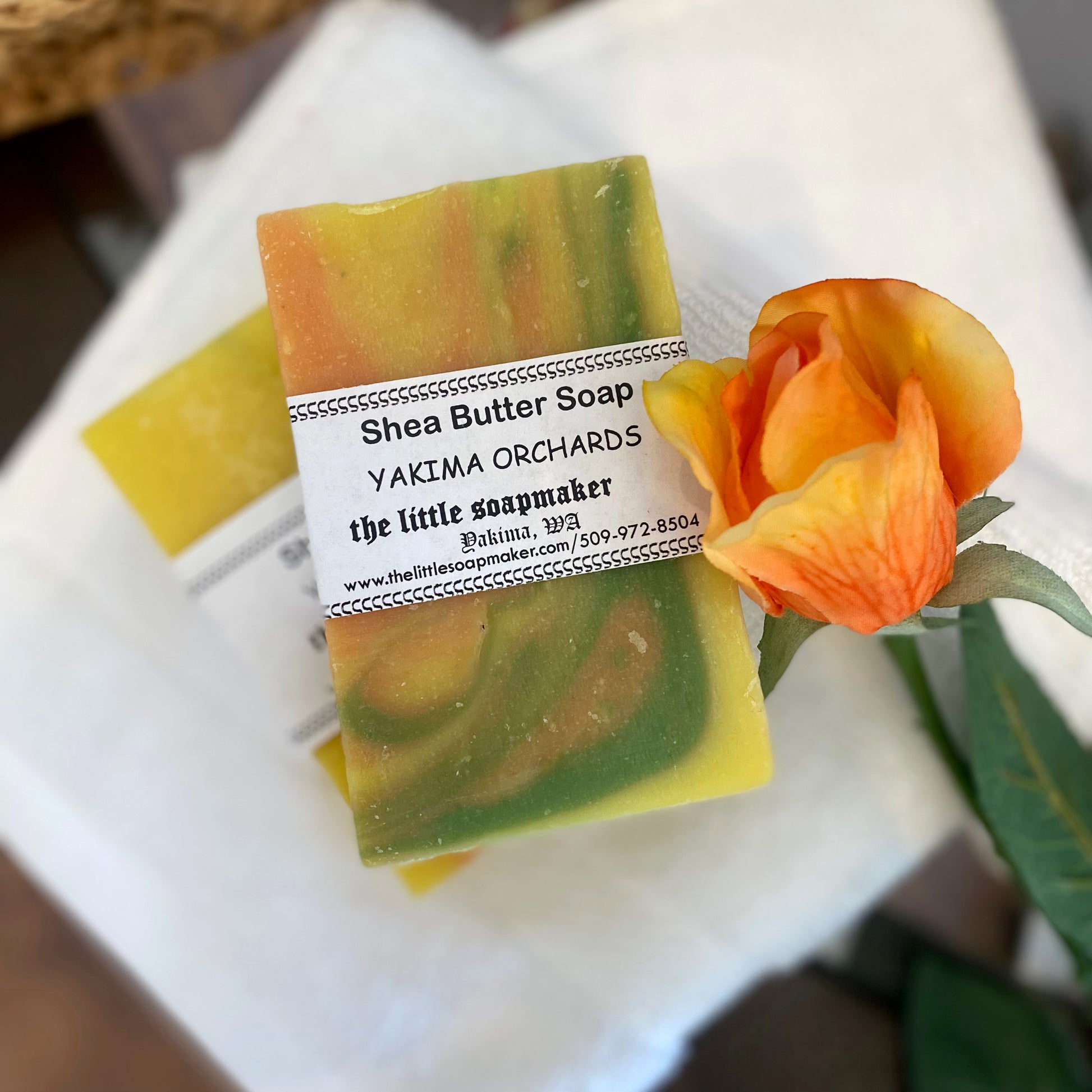 Shea Butter Soap Collection (5-Pack Randomly selected)